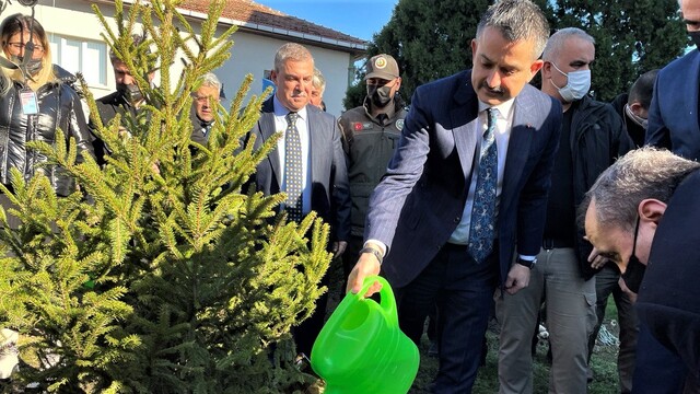 'Sertifikalı fidan kullanım desteği başlıyor'