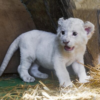 Ara tatile özel etkinlikler