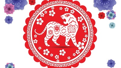 Bitcoin'e kaplan pençesi