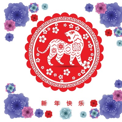 Bitcoin'e kaplan pençesi