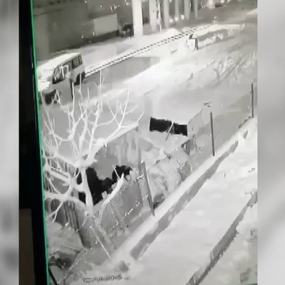 Trenin çarptığı minibüsten son anda kurtuldular!