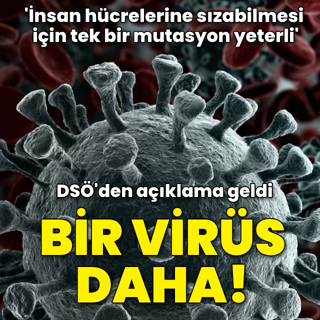 Bir virüs daha! DSÖ'den açıklama geldi