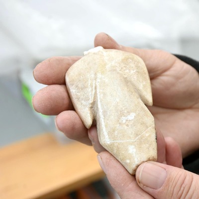 "Tüm örnekleri yüksek paralara satılıyor" 6 bin yıllık!