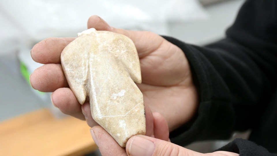 "Tüm örnekleri yüksek paralara satılıyor" 6 bin yıllık!