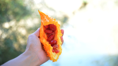 Zeytinyağlı kudret narı faydaları