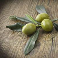 Zeytin çekirdeğinin faydaları