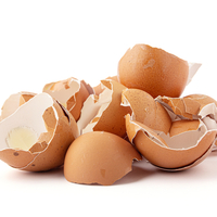 Yumurta kabuğunun şaşırtan faydaları