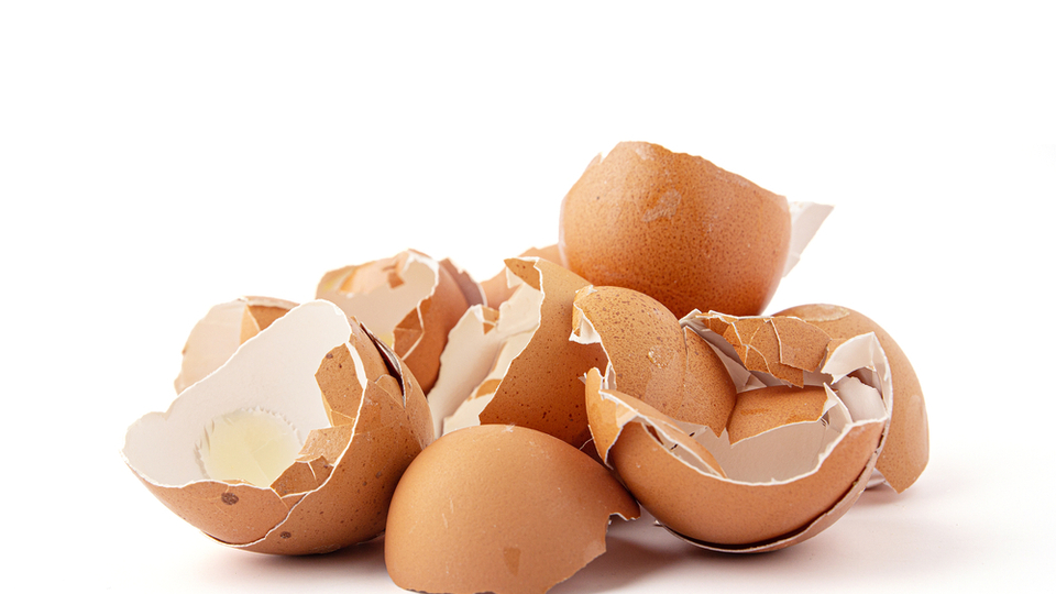 Yumurta kabuğunun şaşırtan faydaları