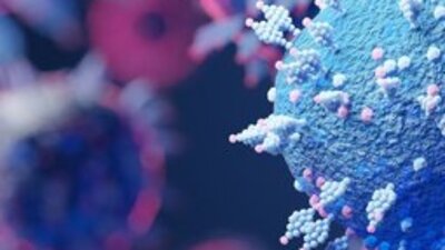 DSÖ uyardı: Zafer ilan etmek için erken