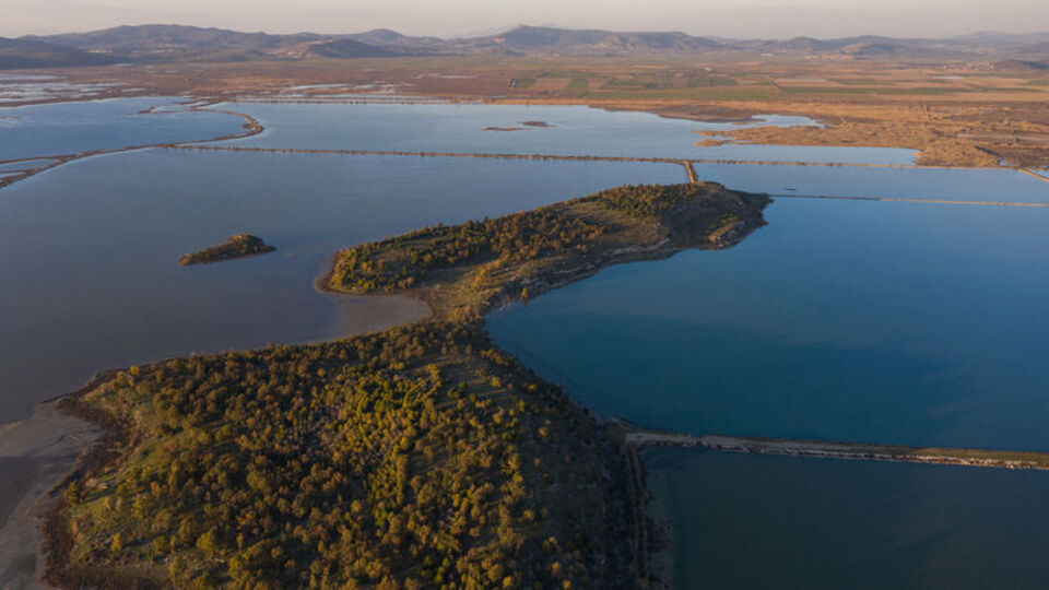 Gediz Deltası'nda 58 bin kış kuşu sayıldı