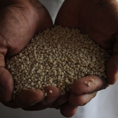 Rusya'dan dikkat çeken yasak