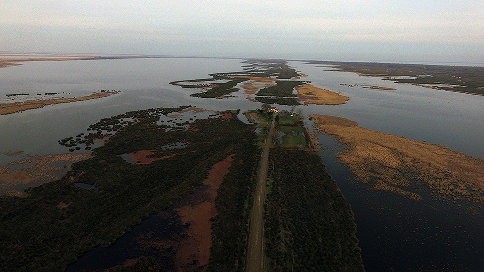 Göç eden kuşlar için hayati öneme sahip