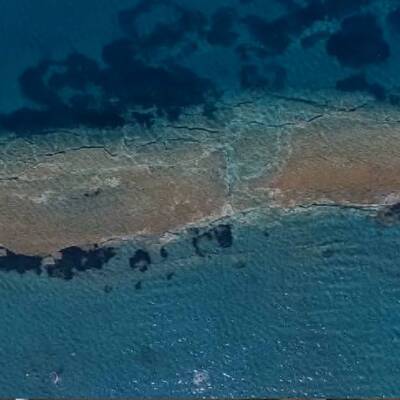 Dikili'de yüzerken bulmuştu... Heyecan verici sonuç!