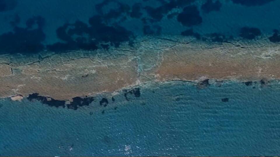 Dikili'de yüzerken bulmuştu... Heyecan verici sonuç!