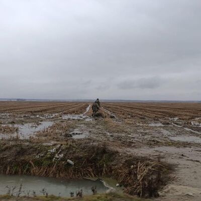 BM'den Yunanistan sınırında ölen göçmenler hakkında açıklama