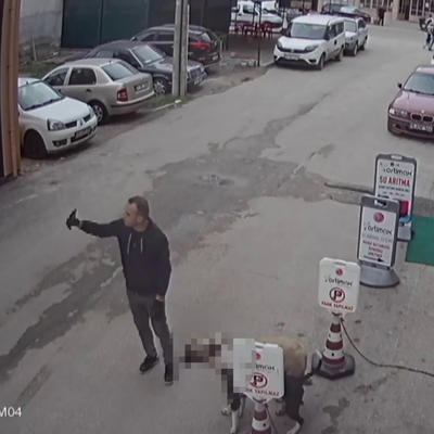 Pitbull'u sokak köpeğine saldırtıp selfie çekti!