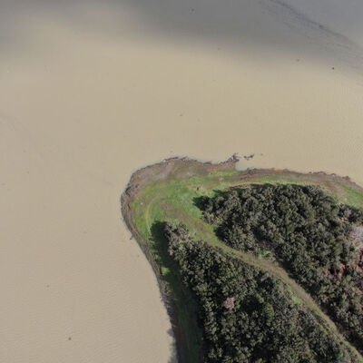Alibeyköy Barajı'nın rengi değişti