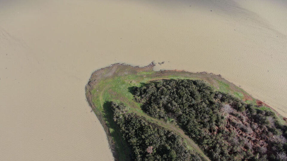 Alibeyköy Barajı'nın rengi değişti