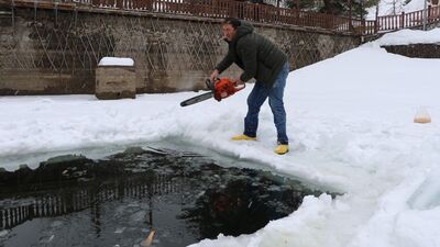 Her şey ördekler için... Yaşam alanı açtı!