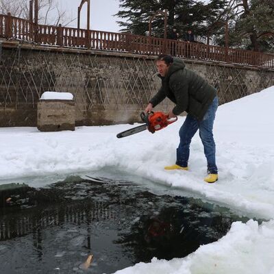 Her şey ördekler için... Yaşam alanı açtı!