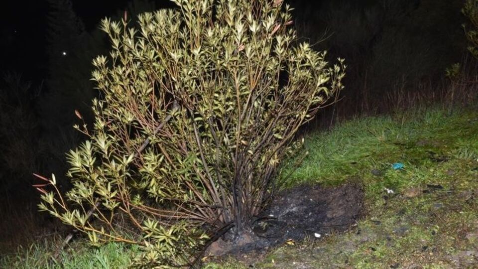 Valizin içinden çıkan cansız bedenle ilgili 3 tutuklama