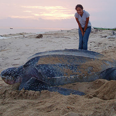 Hiç tahmin eder miydiniz? Bu kadar büyükmüş!