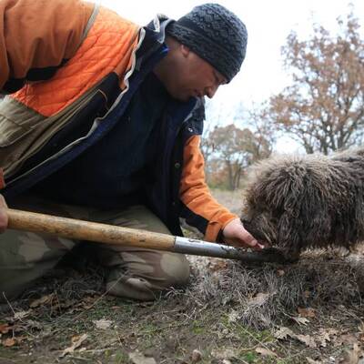 Kralların yiyeceği 800 euroya alıcı buluyor!