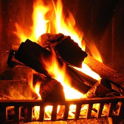 Zehirlendiklerini fark ettiler! Kahreden haber!