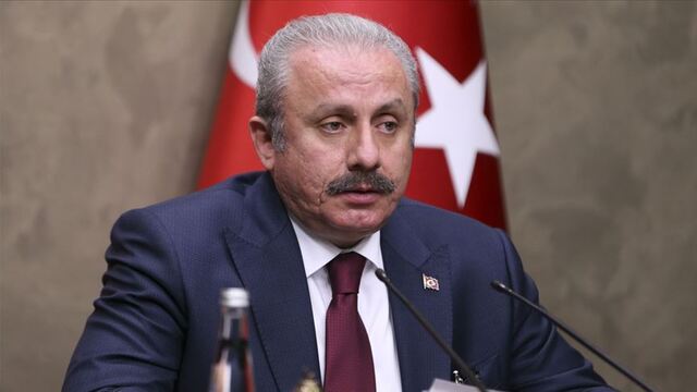 Şentop'tan Alevilere hakarete tepki