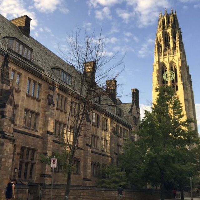 Harvard'a taciz davası!