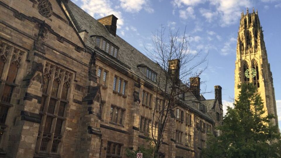 Harvard'a taciz davası!
