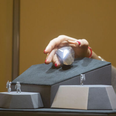 Dünyanın en büyük siyah elması satıldı