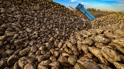 'Pancar üretiminde yeni rekorlar bekliyoruz'