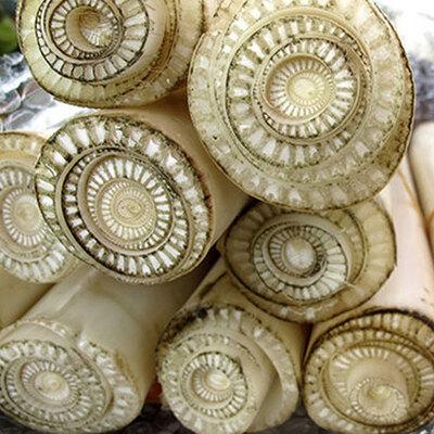 Ortadan ikiye kesildi... İnanılmaz manzara