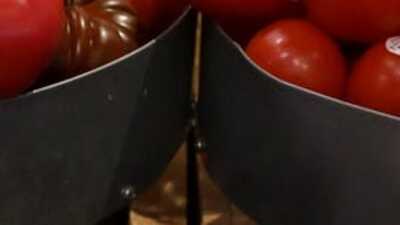 ABD'de enflasyon rekor tazeledi