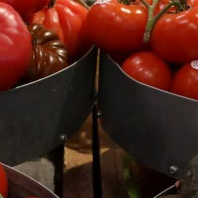 ABD'de enflasyon rekor tazeledi