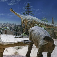 Dinozor Dolly neden öldü?