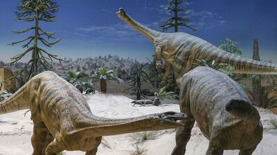 Dinozor Dolly neden öldü?