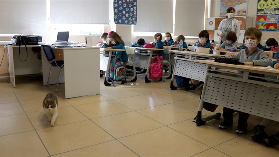 Öğrencilerin 'can dostu' oldu