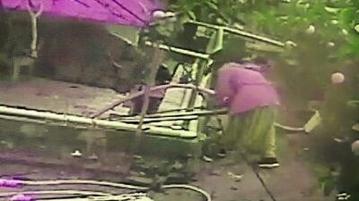 O anlar kamerada! Bahçeye bir girdi!