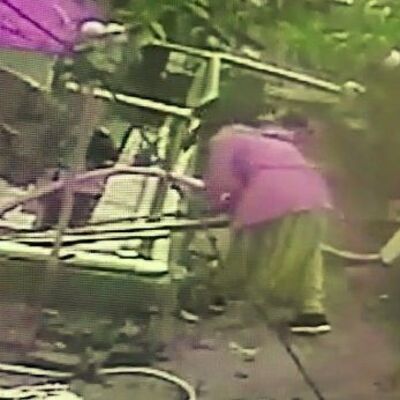 O anlar kamerada! Bahçeye bir girdi!