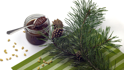 Kozalak macunu faydaları