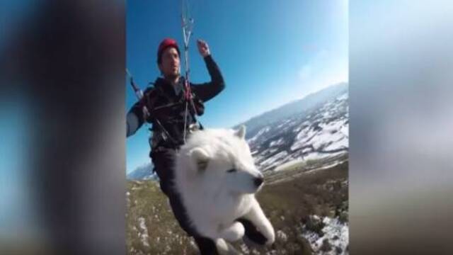 Köpeğiyle birlikte yamaç paraşütü yaptı