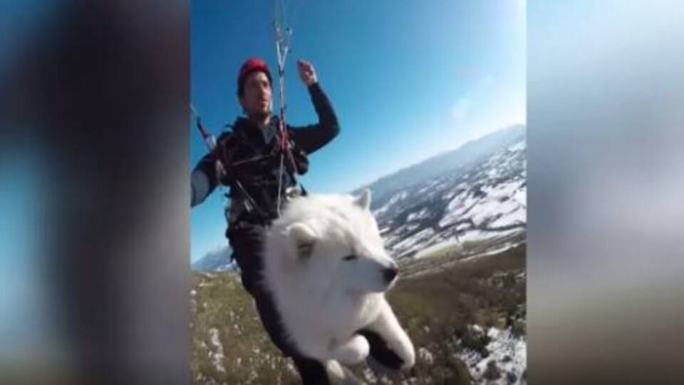 Köpeğiyle birlikte yamaç paraşütü yaptı