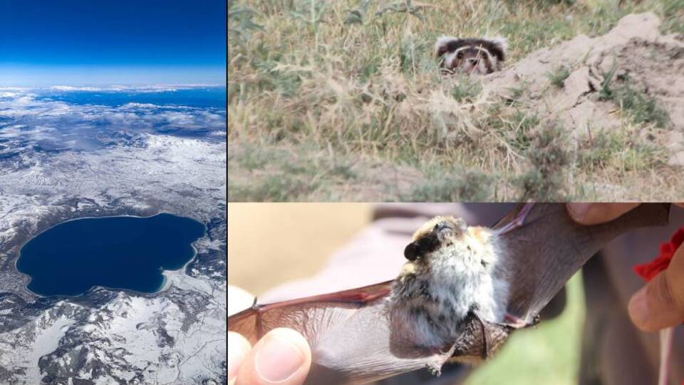 Salda'da heyecanlandıran tespit!