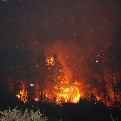 Kritik çalışma! İşte Türkiye'nin afet risk haritası