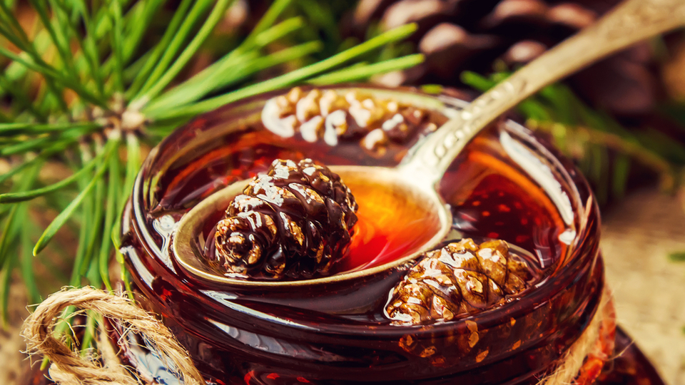 Çam kozalağı pekmezi faydaları