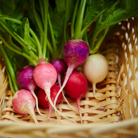 Şalgamın faydaları