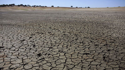 ABD'nin batısında son 1200 yılın en büyük kuraklığı!