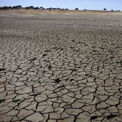 ABD'nin batısında son 1200 yılın en büyük kuraklığı!